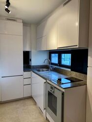 Robinson Suites (D1), Apartment #517231441